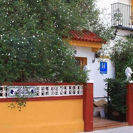 Hostal Playa Hidalgo 로타 외부 사진